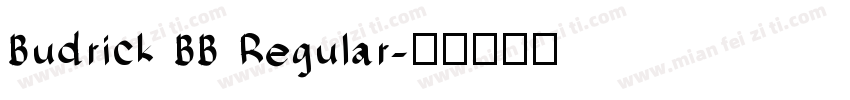 Budrick BB Regular字体转换